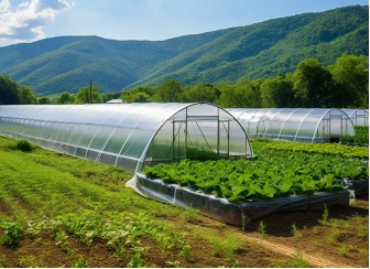 product-336-244 product-336-244