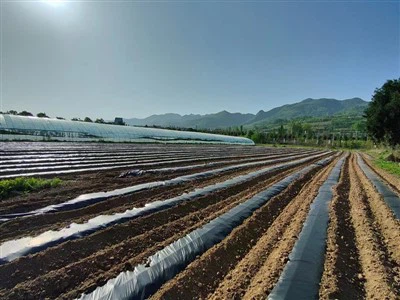 Phim phủ phân hủy sinh học