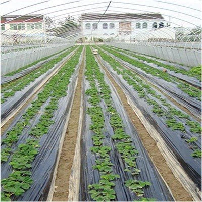 Tấm phủ có lỗ
