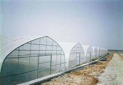 Vỏ nhà kính Pe