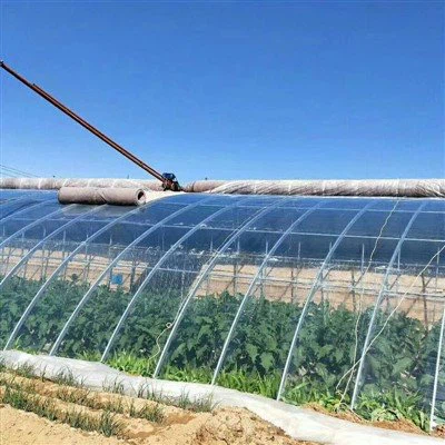 Phim nhà kính nhiệt